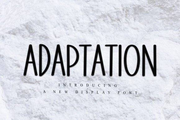 Adaptation: A Display Font That Elevates Real Small Business Branding